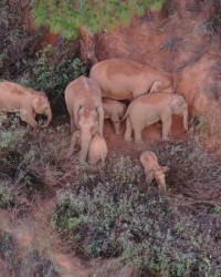  小因扎吉变阵激活国米进攻群  